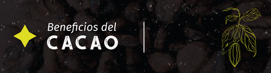 Los Increíbles Beneficios del Cacao: Un Regalo Natural para la Salud