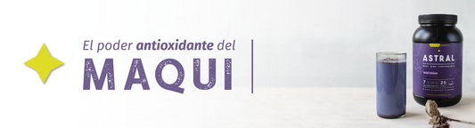 Maqui Chileno: Propiedades, Beneficios y Cómo Usarlo a Diario