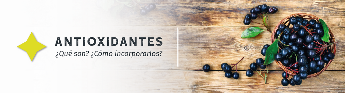 ¿Qué Son los Antioxidantes, Dónde Encontrarlos y Cómo Incluirlos en Tu Vida Diaria?