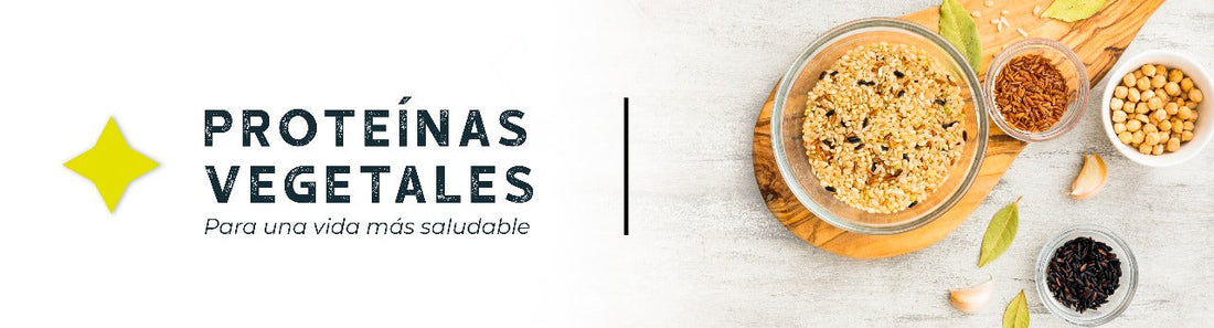 Proteínas vegetales: cómo mejorar tu nutrición